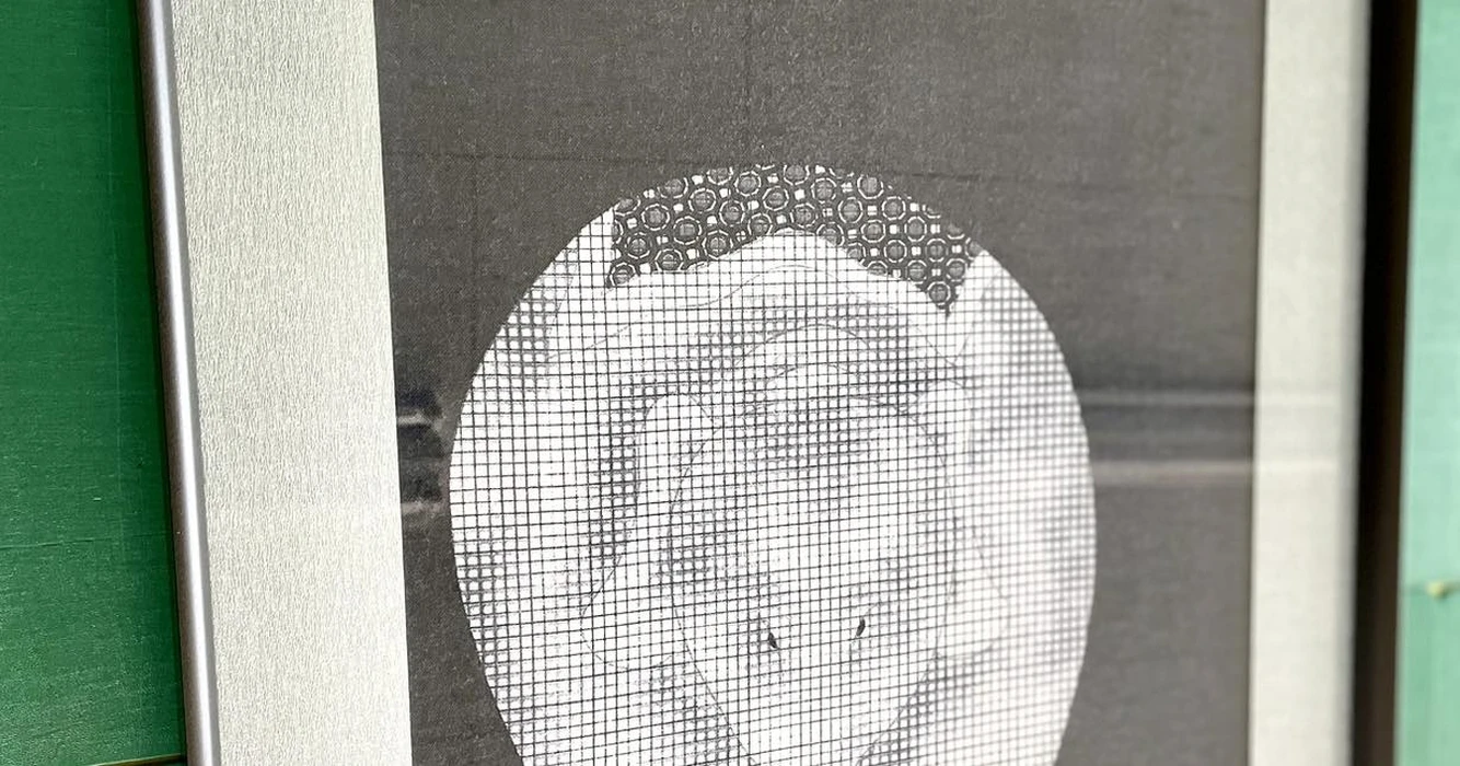 画像269