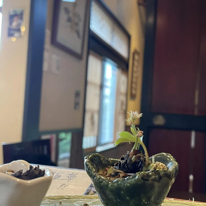 画像299