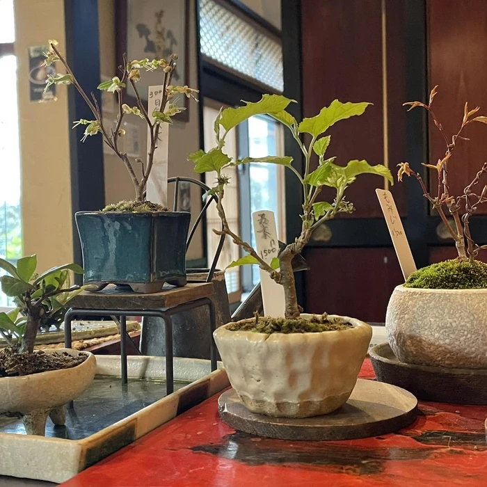 画像300